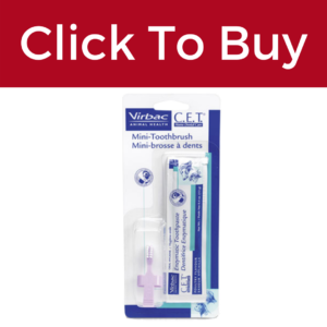 Click to Buy a mini toothbrush